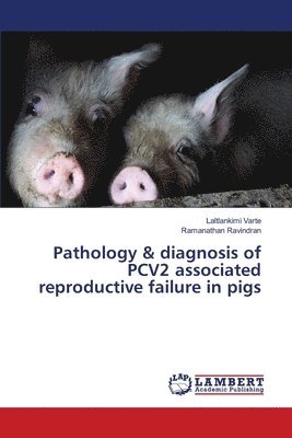 bokomslag Pathology & diagnosis of PCV2 associated reproductive failure in pigs