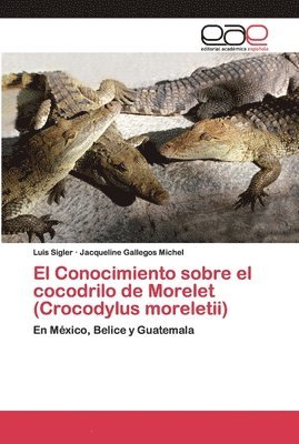 bokomslag El Conocimiento sobre el cocodrilo de Morelet (Crocodylus moreletii)