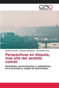 bokomslag Perspectivas en disputa, ms all del sentido comn