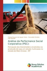 bokomslag Anlise da Performance Social Corporativa (PSC)