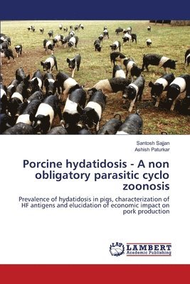 Porcine hydatidosis - A non obligatory parasitic cyclo zoonosis 1