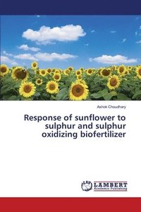 bokomslag Response of sunflower to sulphur and sulphur oxidizing biofertilizer