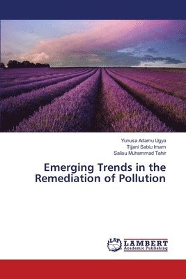 Emerging Trends in the Remediation of Pollution 1