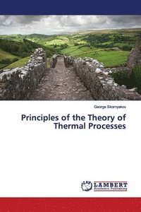 bokomslag Principles of the Theory of Thermal Processes