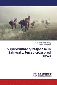 bokomslag Superovulatory response in Sahiwal x Jersey crossbred cows