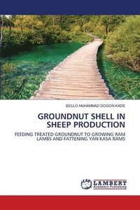 bokomslag Groundnut Shell in Sheep Production