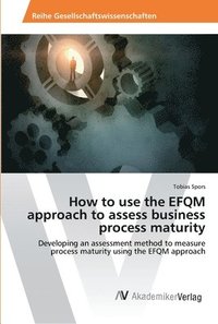 bokomslag How to use the EFQM approach to assess business process maturity