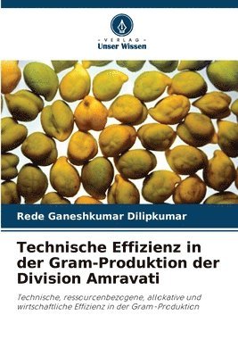 bokomslag Technische Effizienz in der Gram-Produktion der Division Amravati