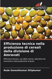 bokomslag Efficienza tecnica nella produzione di cereali della divisione di Amravati