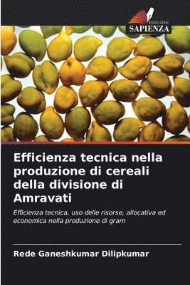 bokomslag Efficienza tecnica nella produzione di cereali della divisione di Amravati