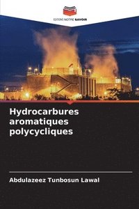 bokomslag Hydrocarbures aromatiques polycycliques