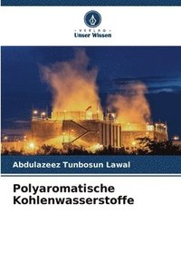 bokomslag Polyaromatische Kohlenwasserstoffe