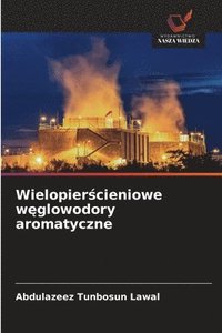 bokomslag Wielopier?cieniowe w?glowodory aromatyczne