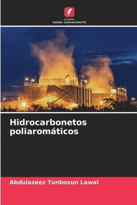 bokomslag Hidrocarbonetos poliaromáticos