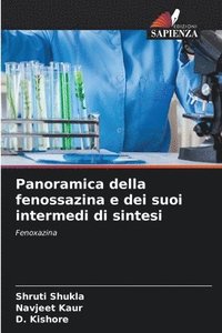 bokomslag Panoramica della fenossazina e dei suoi intermedi di sintesi