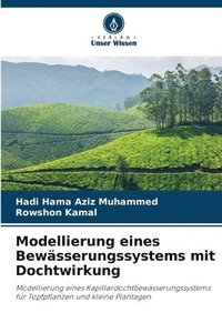 bokomslag Modellierung eines Bewässerungssystems mit Dochtwirkung