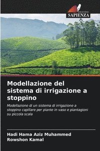 bokomslag Modellazione del sistema di irrigazione a stoppino