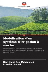 bokomslag Modélisation d'un système d'irrigation à mèche