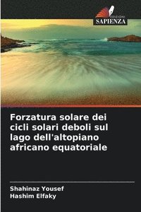 bokomslag Forzatura solare dei cicli solari deboli sul lago dell'altopiano africano equatoriale