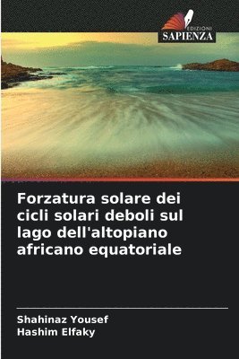 bokomslag Forzatura solare dei cicli solari deboli sul lago dell'altopiano africano equatoriale