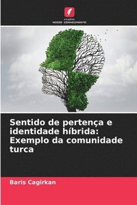 bokomslag Sentido de pertença e identidade híbrida: Exemplo da comunidade turca