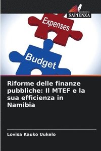 bokomslag Riforme delle finanze pubbliche: Il MTEF e la sua efficienza in Namibia