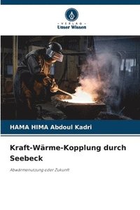 bokomslag Kraft-Wärme-Kopplung durch Seebeck