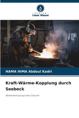 bokomslag Kraft-Wärme-Kopplung durch Seebeck
