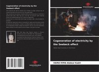 bokomslag Cogeneration of electricity by the Seebeck effect