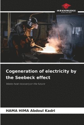 Hama Hima Abdoul Kadri, HAMA HIMA Abdoul Kadri - Cogeneration of electricity by the Seebeck effect, Häftad