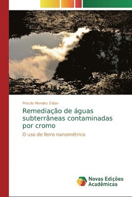 bokomslag Remediao de guas subterrneas contaminadas por cromo