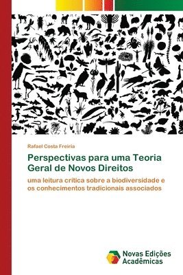 bokomslag Perspectivas para uma Teoria Geral de Novos Direitos