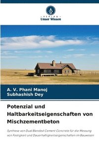 bokomslag Potenzial und Haltbarkeitseigenschaften von Mischzementbeton