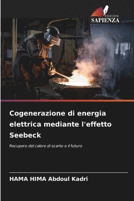 Hama Hima Abdoul Kadri, HAMA HIMA Abdoul Kadri - Cogenerazione di energia elettrica mediante l'effetto Seebeck, Häftad