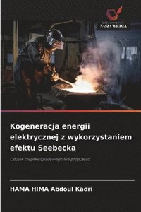 bokomslag Kogeneracja energii elektrycznej z wykorzystaniem efektu Seebecka