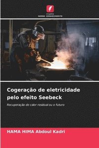 bokomslag Cogeração de eletricidade pelo efeito Seebeck