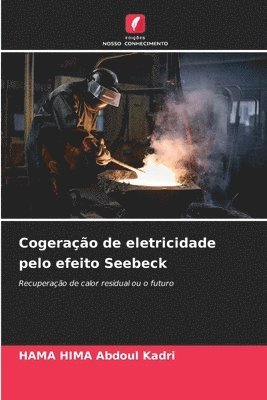 bokomslag Cogeração de eletricidade pelo efeito Seebeck
