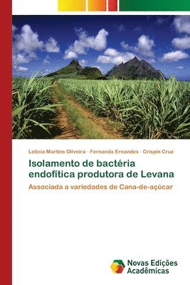 Isolamento de bactria endoftica produtora de Levana 1