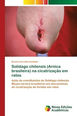 bokomslag Solidago chilensis (Arnica brasileira) na cicatrizao em ratos