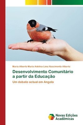 bokomslag Desenvolvimento Comunitrio a partir da Educao