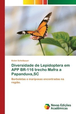 Diversidade de Lepidoptera em APP BR-116 trecho Mafra a Papanduva, SC 1