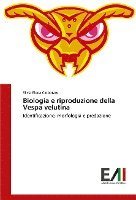 bokomslag Biologia e riproduzione della Vespa velutina