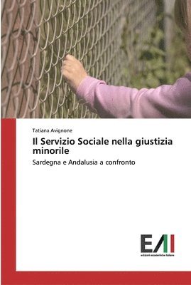 bokomslag Il Servizio Sociale nella giustizia minorile