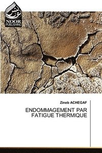 bokomslag Endommagement Par Fatigue Thermique