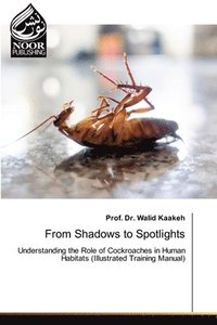 bokomslag From Shadows to Spotlights