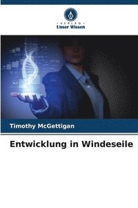 bokomslag Entwicklung in Windeseile