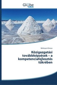 bokomslag Kzigazgatsi tovbbkpzsek - a kompetenciafejleszts tkrben