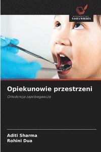 bokomslag Opiekunowie przestrzeni