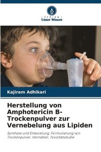 bokomslag Herstellung von Amphotericin B-Trockenpulver zur Vernebelung aus Lipiden