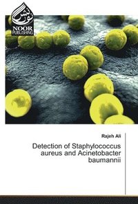 bokomslag Detection of Staphylococcus aureus and Acinetobacter baumannii